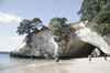 l'arche depuis Cathedral Cove