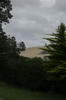 Dunes à en face d'Opononi