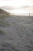 Plage devant l'Opotiki Beach House