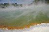 The Champagne Pool (Wai-O-Tapu) The champagne pool