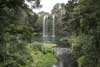 Les Whangarei Falls depuis le bas